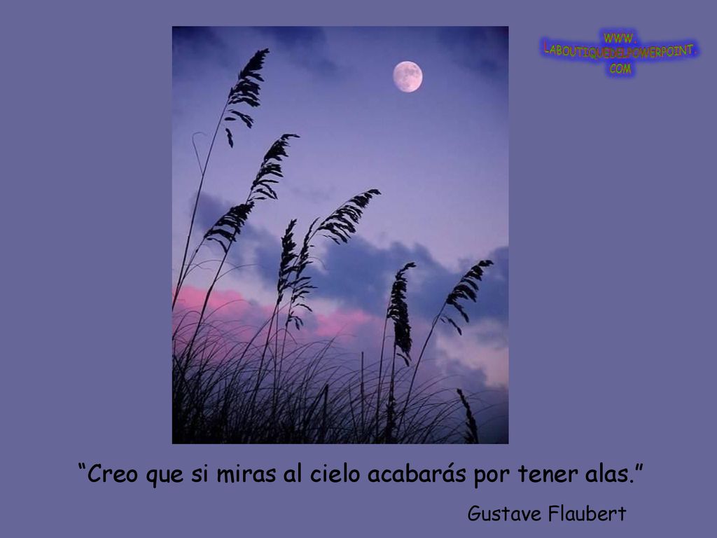 Creo que si miras al cielo acabarás por tener alas.