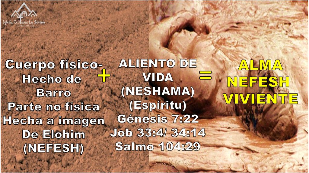+ = ALMA NEFESH VIVIENTE Cuerpo físico- ALIENTO DE VIDA Hecho de