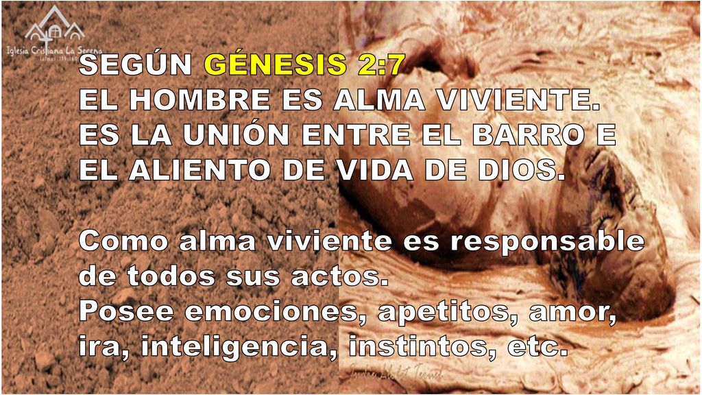 SEGÚN GÉNESIS 2:7 EL HOMBRE ES ALMA VIVIENTE. ES LA UNIÓN ENTRE EL BARRO E EL ALIENTO DE VIDA DE DIOS.