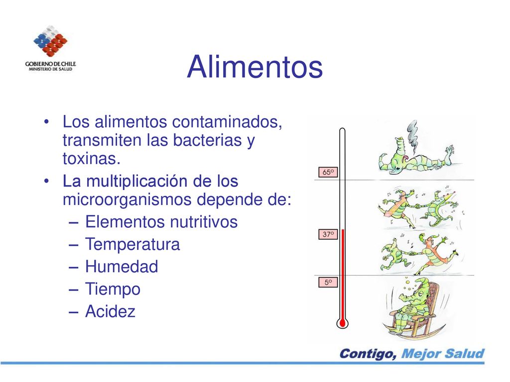 Alimentos Los alimentos contaminados, transmiten las bacterias y toxinas. La multiplicación de los microorganismos depende de: