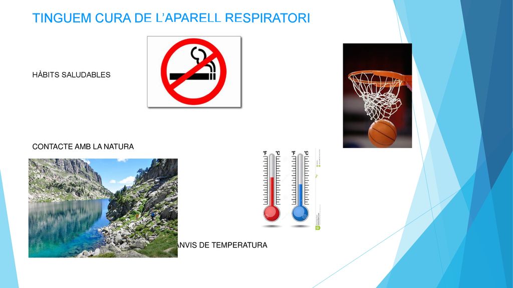 TINGUEM CURA DE L’APARELL RESPIRATORI HÀBITS SALUDABLES FER EXERCICI CONTACTE AMB LA NATURA CONTROLEM CANVIS DE TEMPERATURA