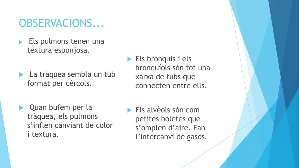 OBSERVACIONS... La tràquea sembla un tub format per cèrcols.