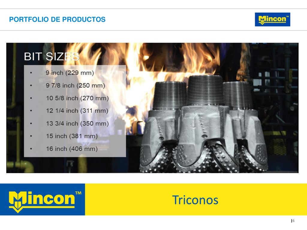 Portfolio de productos