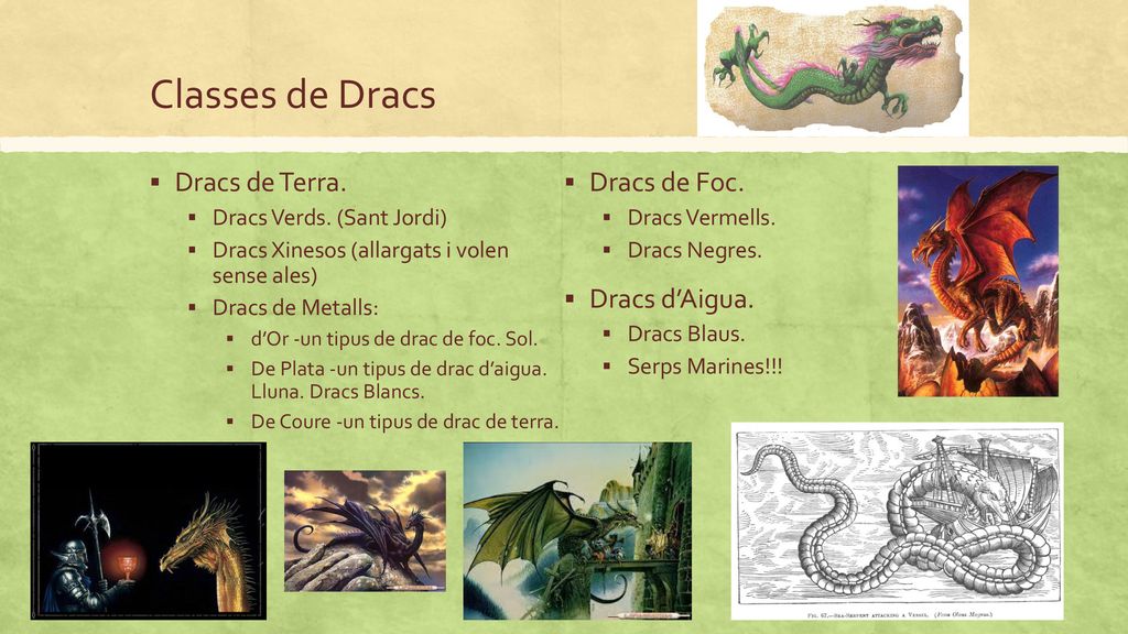 Classes de Dracs Dracs de Terra. Dracs de Foc. Dracs d’Aigua.