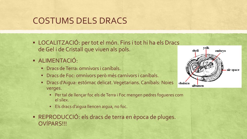COSTUMS DELS DRACS LOCALITZACIÓ: per tot el món. Fins i tot hi ha els Dracs de Gel i de Cristall que viuen als pols.