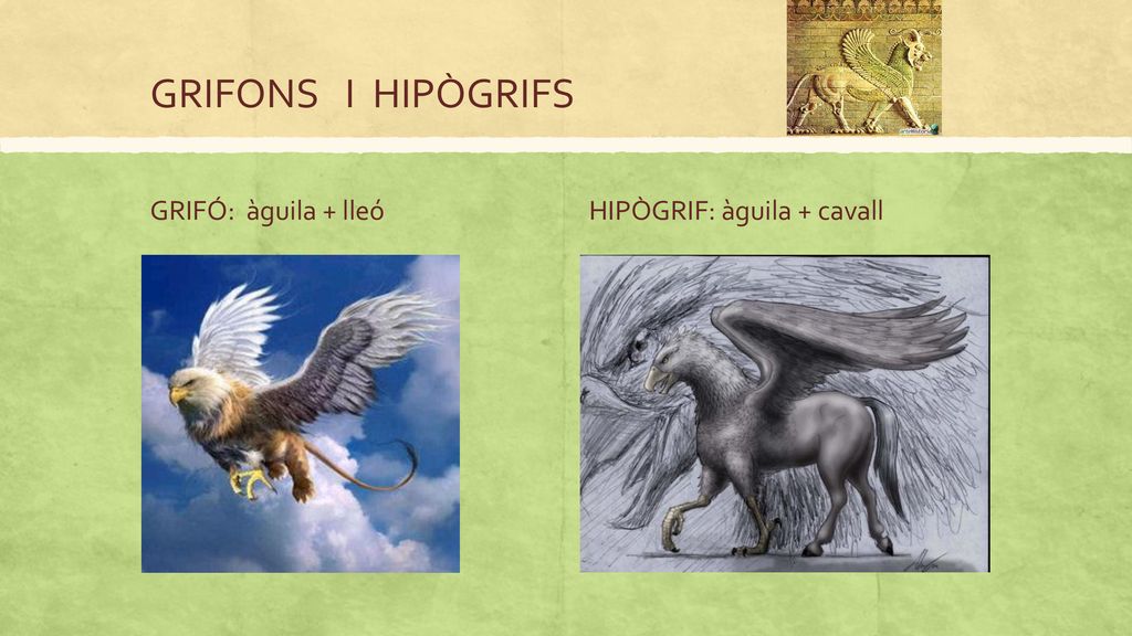 GRIFONS I HIPÒGRIFS GRIFÓ: àguila + lleó HIPÒGRIF: àguila + cavall