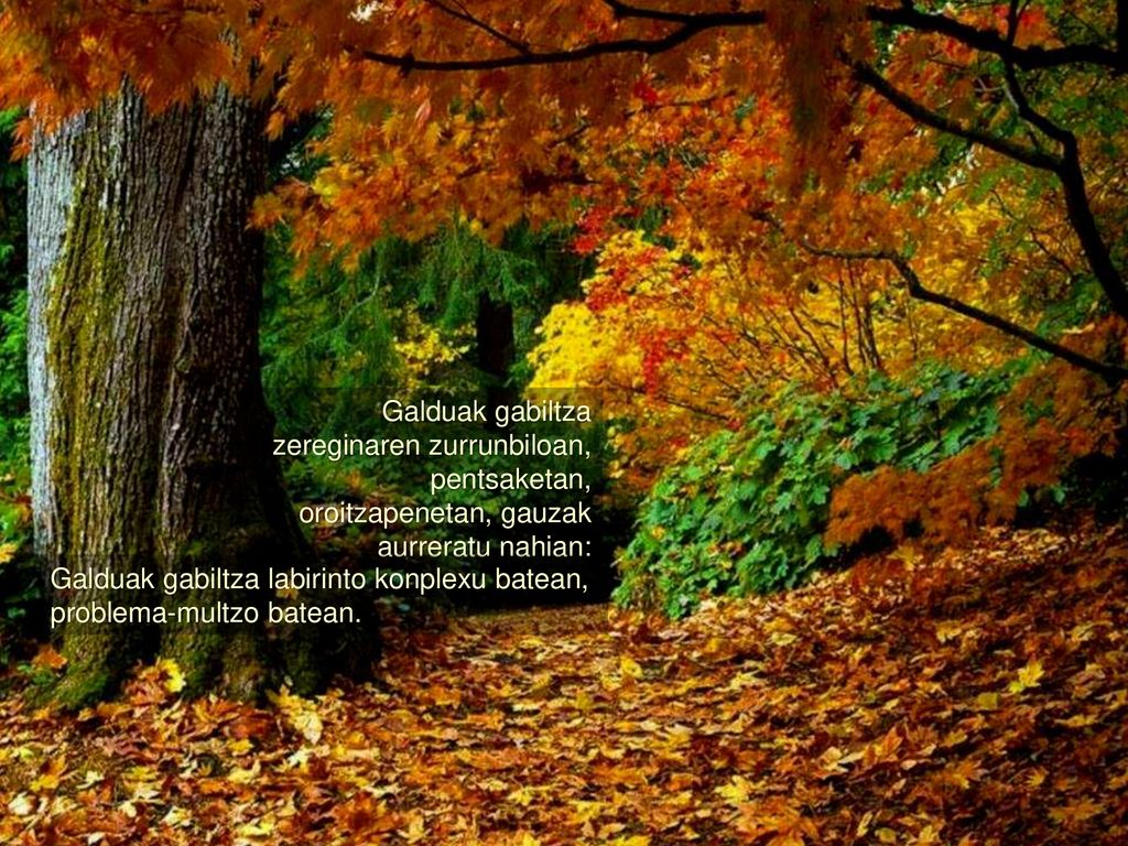 Galduak gabiltza zereginaren zurrunbiloan, pentsaketan, oroitzapenetan, gauzak aurreratu nahian:
