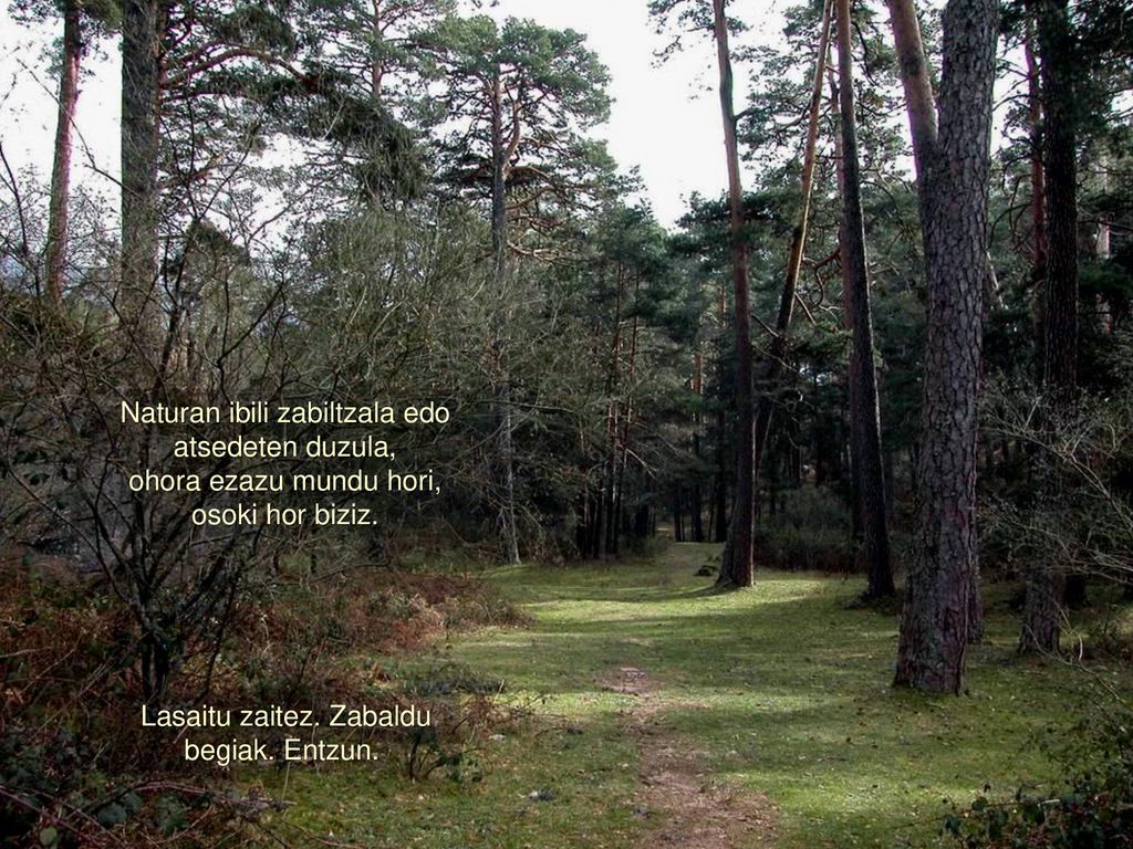 Naturan ibili zabiltzala edo atsedeten duzula, ohora ezazu mundu hori,