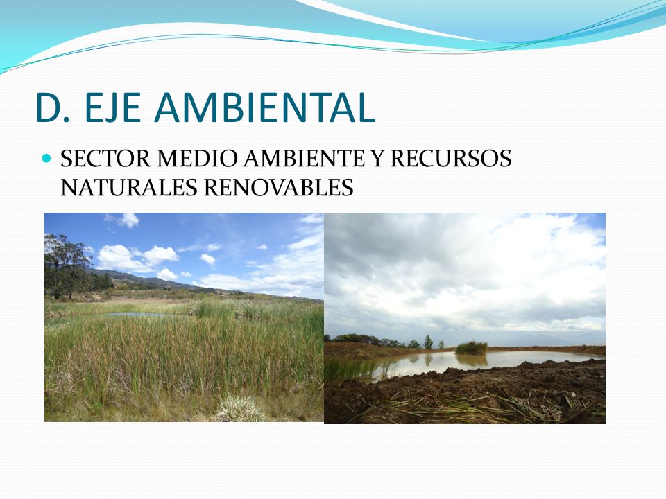 D. EJE AMBIENTAL SECTOR MEDIO AMBIENTE Y RECURSOS NATURALES RENOVABLES