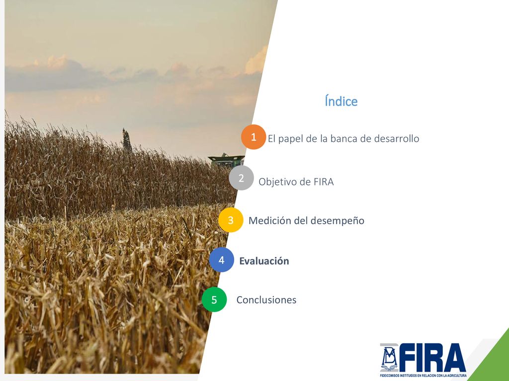 Índice 1 El papel de la banca de desarrollo 2 Objetivo de FIRA 3