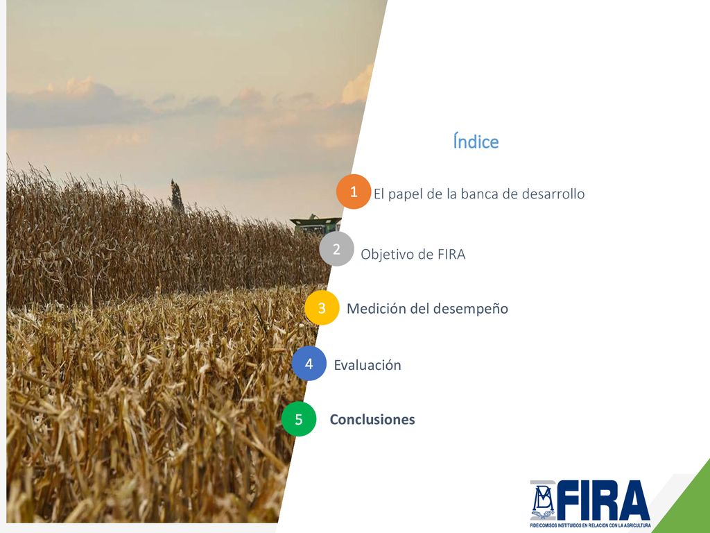 Índice 1 El papel de la banca de desarrollo 2 Objetivo de FIRA 3