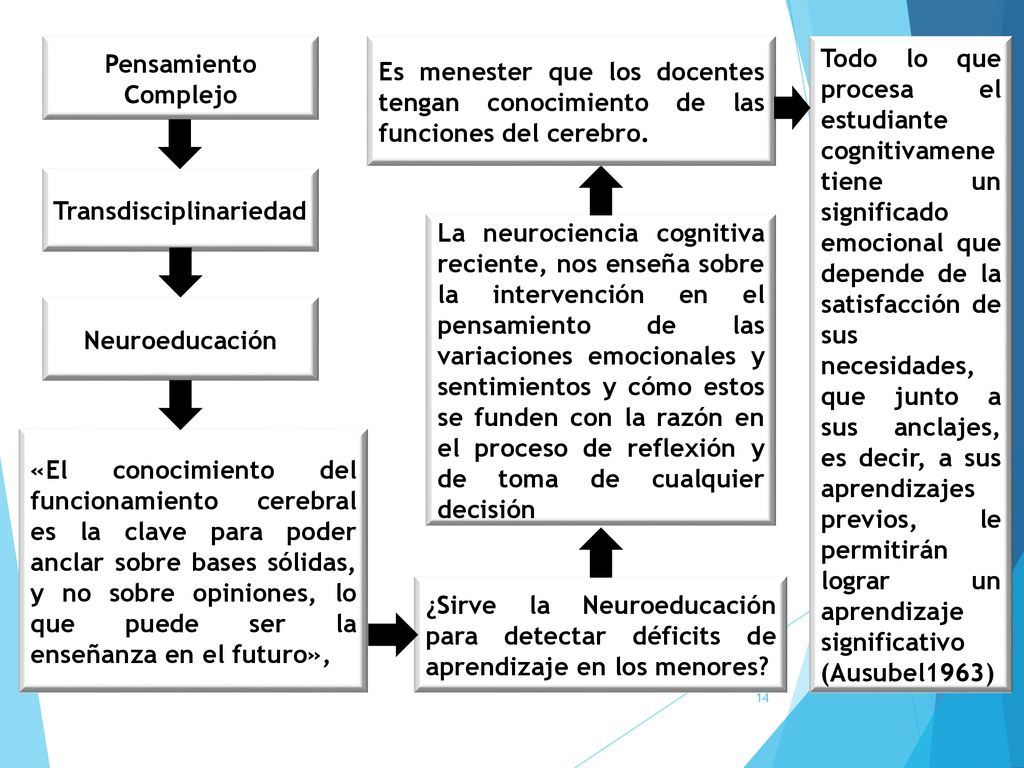 Pensamiento Complejo Es menester que los docentes tengan conocimiento de las funciones del cerebro.