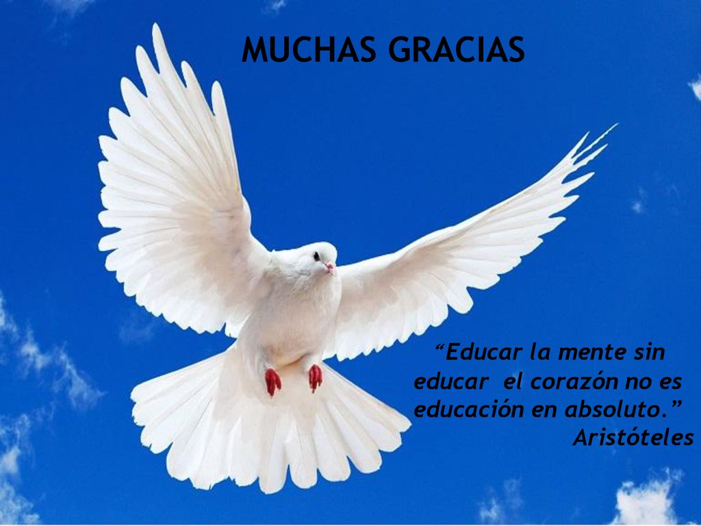 Educar la mente sin educar el corazón no es educación en absoluto.