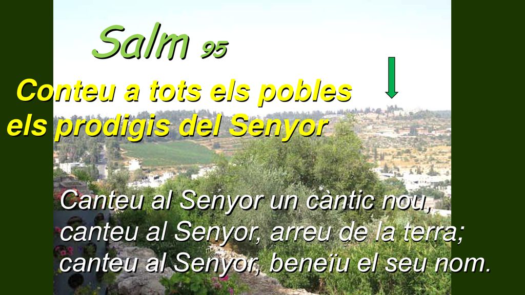Salm 95 Conteu a tots els pobles els prodigis del Senyor