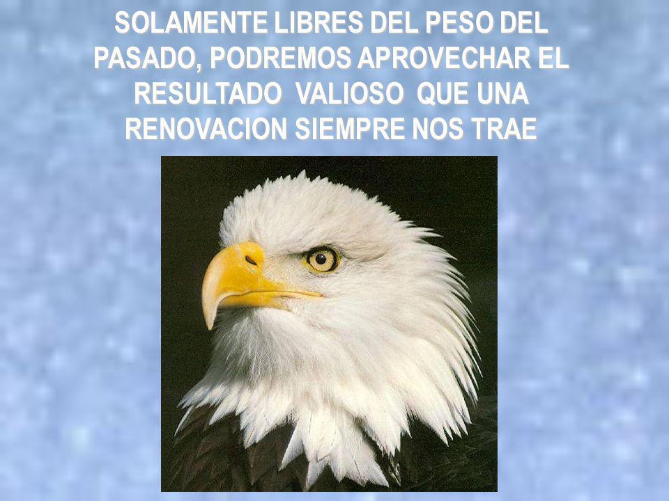 SOLAMENTE LIBRES DEL PESO DEL PASADO, PODREMOS APROVECHAR EL RESULTADO VALIOSO QUE UNA RENOVACION SIEMPRE NOS TRAE