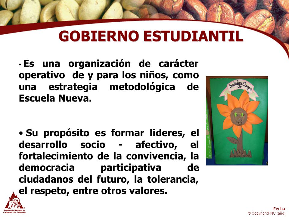 GOBIERNO ESTUDIANTIL Es una organización de carácter operativo de y para los niños, como una estrategia metodológica de Escuela Nueva.