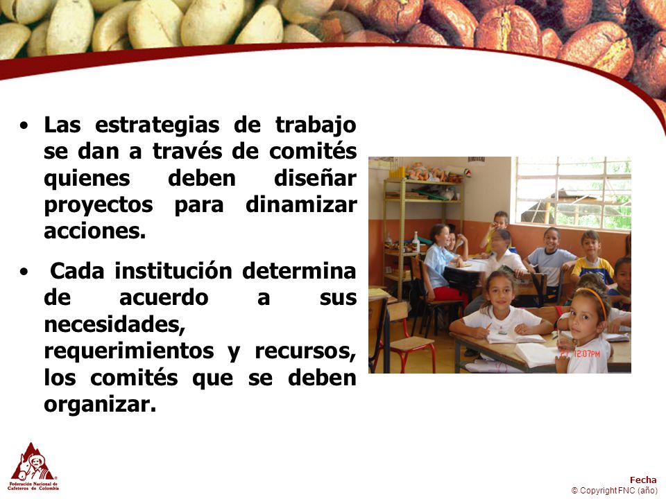 Las estrategias de trabajo se dan a través de comités quienes deben diseñar proyectos para dinamizar acciones.