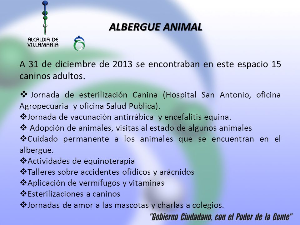 ALBERGUE ANIMAL A 31 de diciembre de 2013 se encontraban en este espacio 15 caninos adultos.