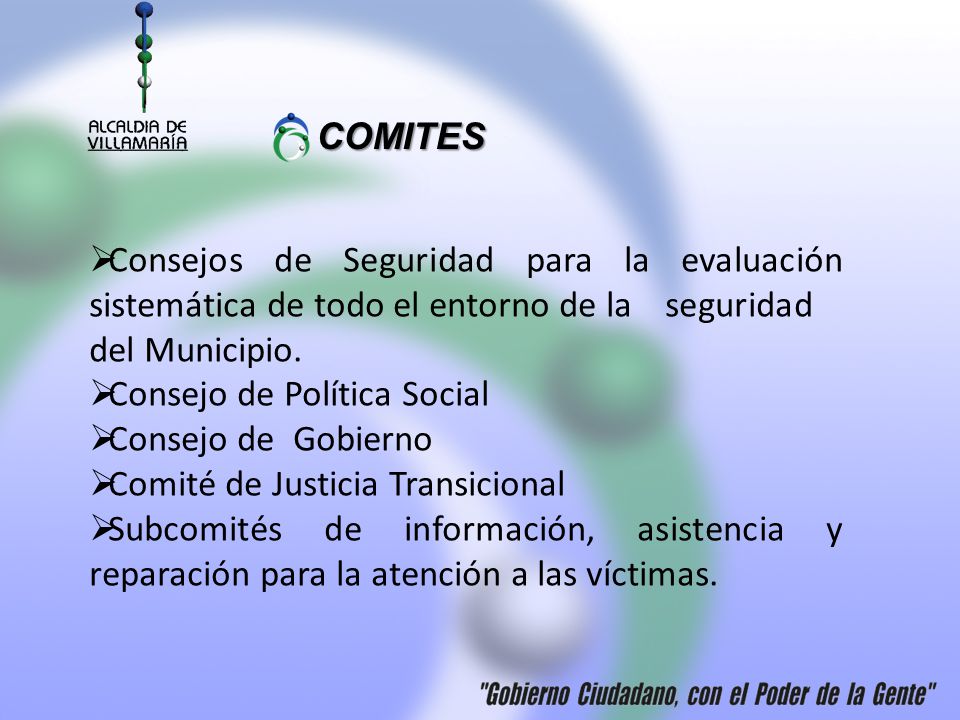 COMITES Consejos de Seguridad para la evaluación sistemática de todo el entorno de la seguridad del Municipio.