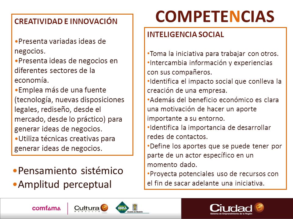 COMPETENCIAS Pensamiento sistémico Amplitud perceptual
