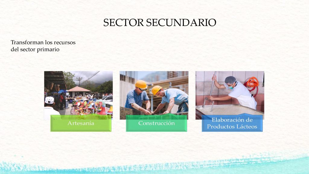 SECTOR SECUNDARIO Transforman los recursos del sector primario