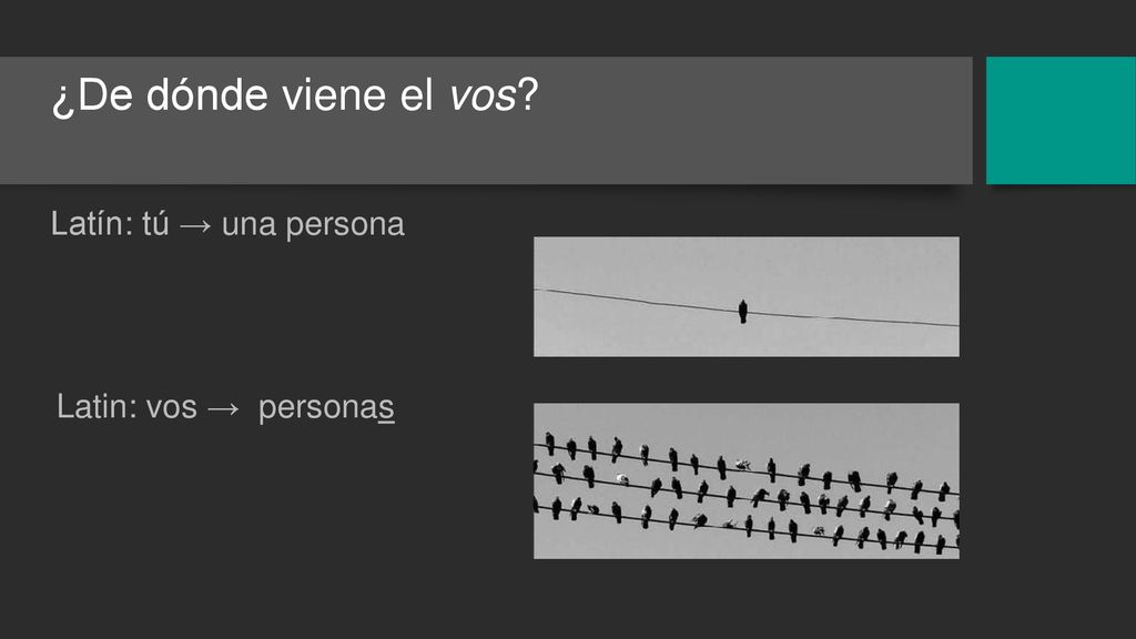 ¿De dónde viene el vos Latín: tú → una persona Latin: vos → personas