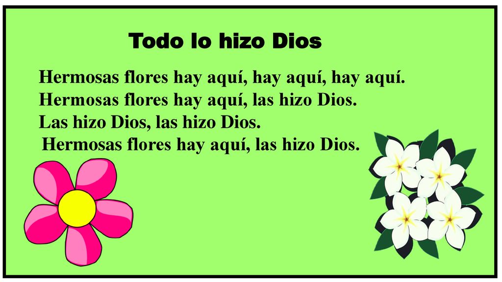 Todo lo hizo Dios Hermosas flores hay aquí, hay aquí, hay aquí.