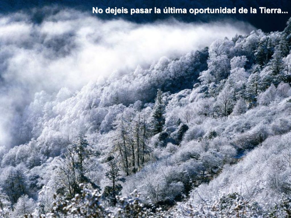 No dejeis pasar la última oportunidad de la Tierra...