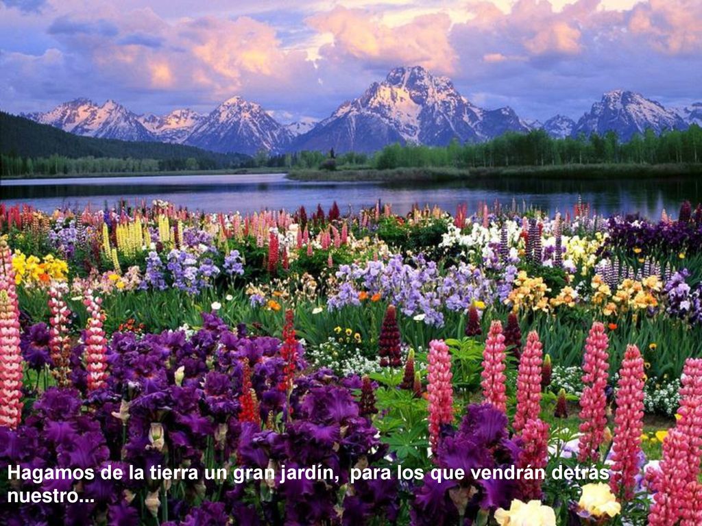 Hagamos de la tierra un gran jardín, para los que vendrán detrás nuestro...
