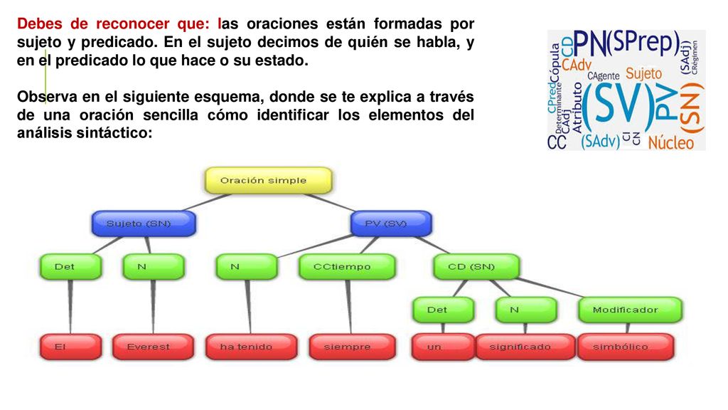 Debes de reconocer que: las oraciones están formadas por sujeto y predicado. En el sujeto decimos de quién se habla, y en el predicado lo que hace o su estado.
