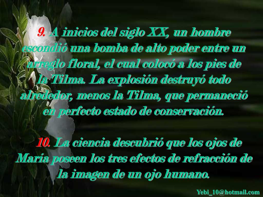 9. A inicios del siglo XX, un hombre escondió una bomba de alto poder entre un arreglo floral, el cual colocó a los pies de la Tilma. La explosión destruyó todo alrededor, menos la Tilma, que permaneció en perfecto estado de conservación.