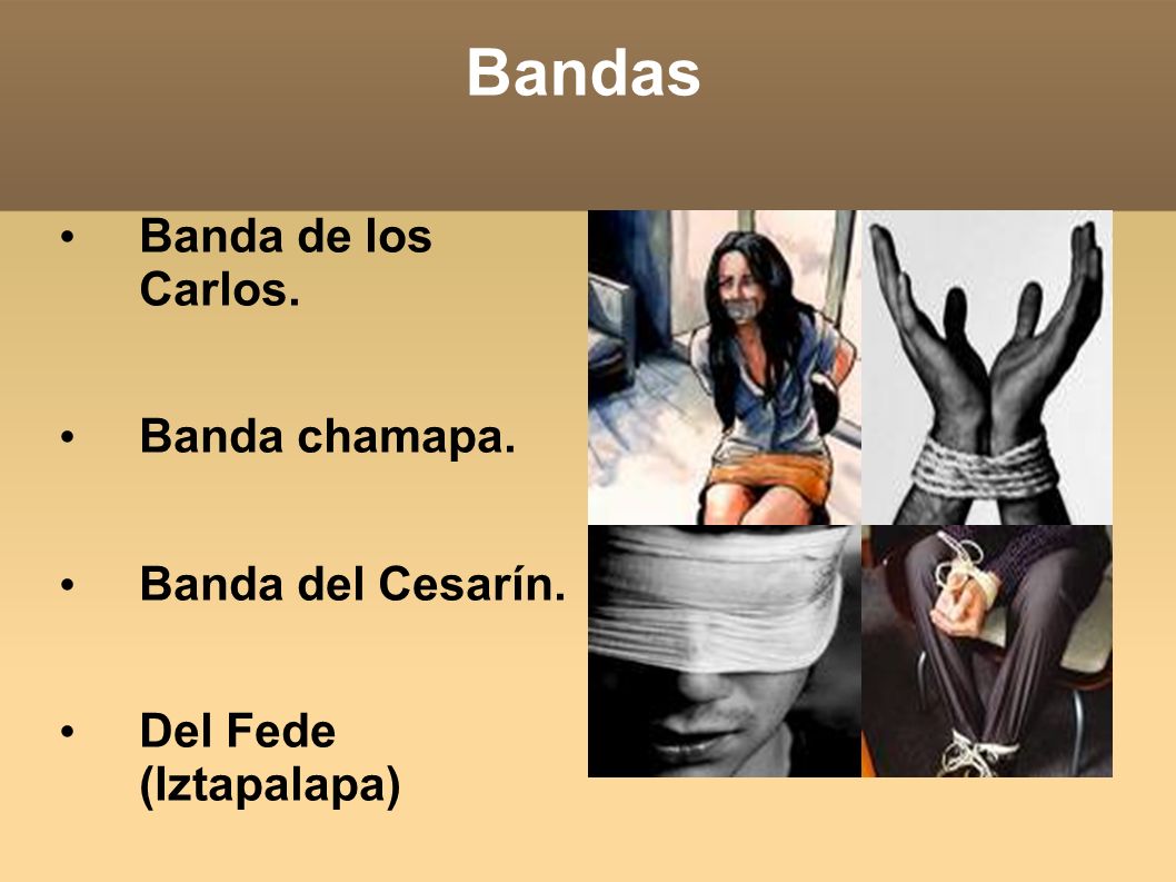 Bandas Banda de los Carlos. Banda chamapa. Banda del Cesarín.