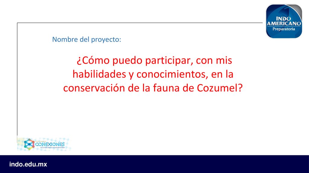 Nombre del proyecto: ¿Cómo puedo participar, con mis habilidades y conocimientos, en la conservación de la fauna de Cozumel