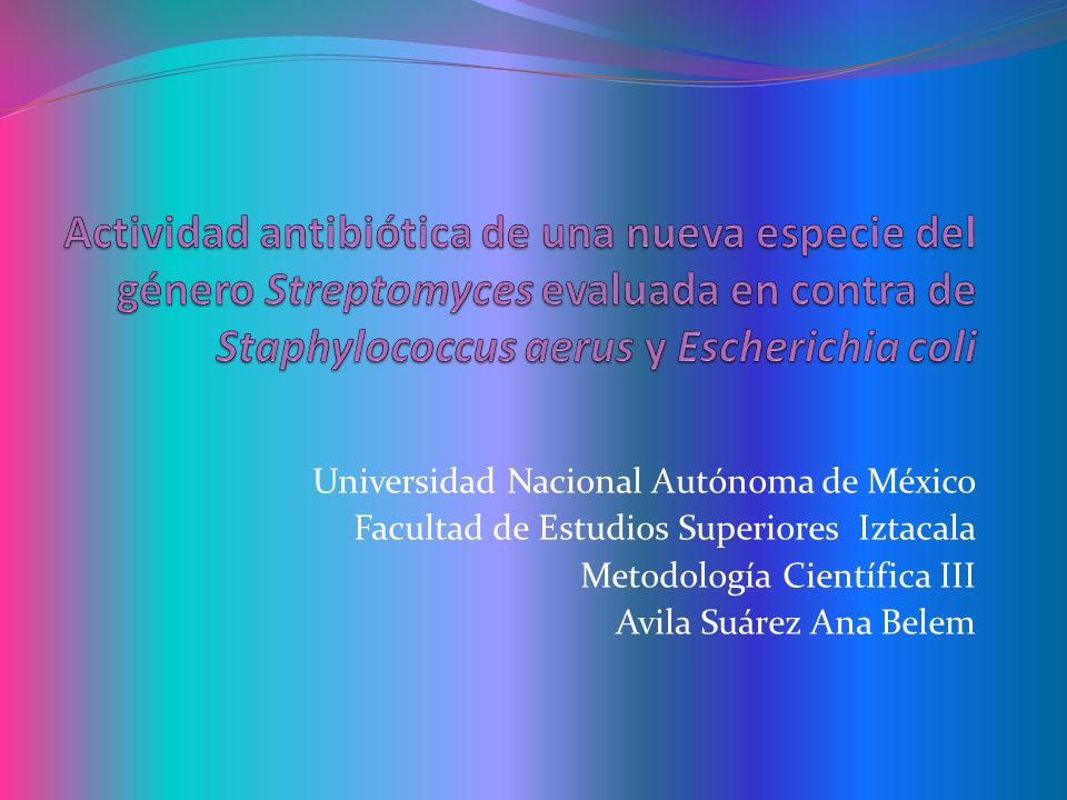 Actividad antibiótica de una nueva especie del género Streptomyces evaluada en contra de Staphylococcus aerus y Escherichia coli
