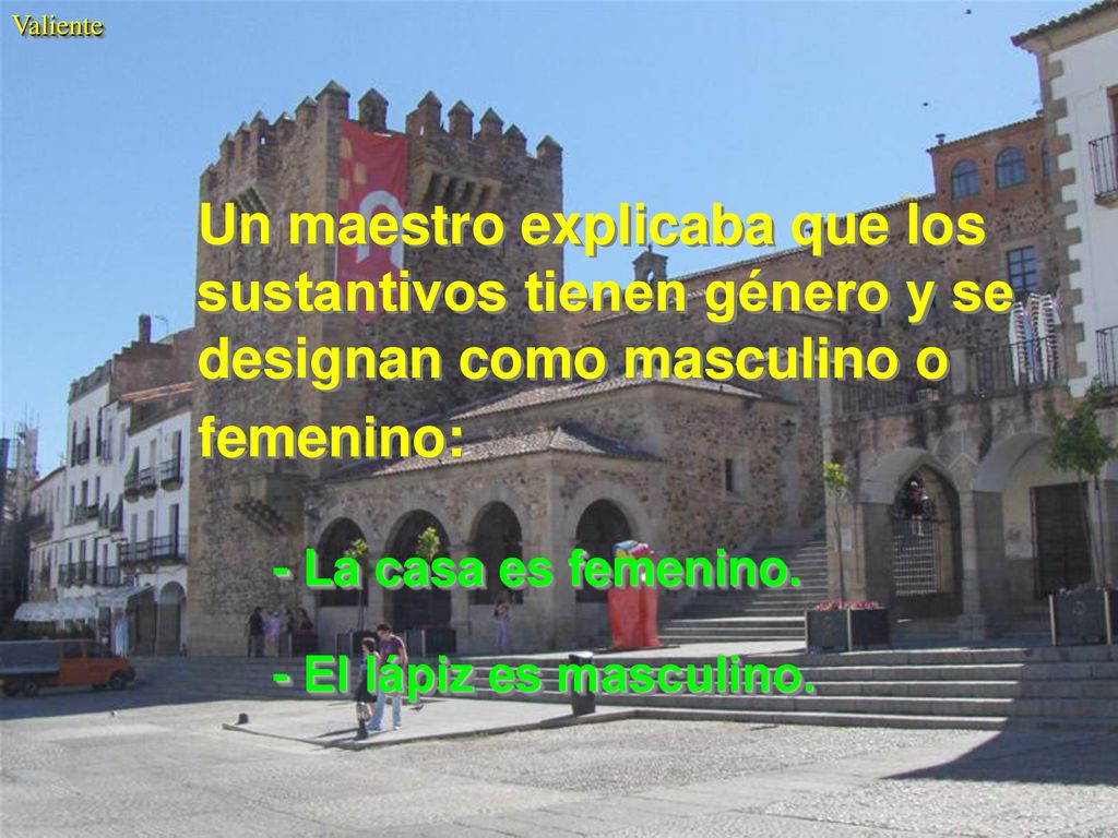 Un maestro explicaba que los sustantivos tienen género y se designan como masculino o femenino: