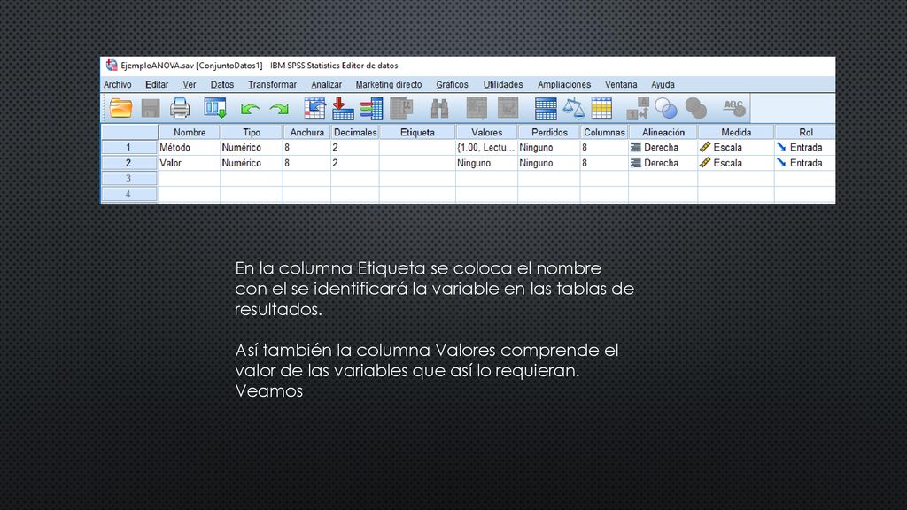 En la columna Etiqueta se coloca el nombre con el se identificará la variable en las tablas de resultados.