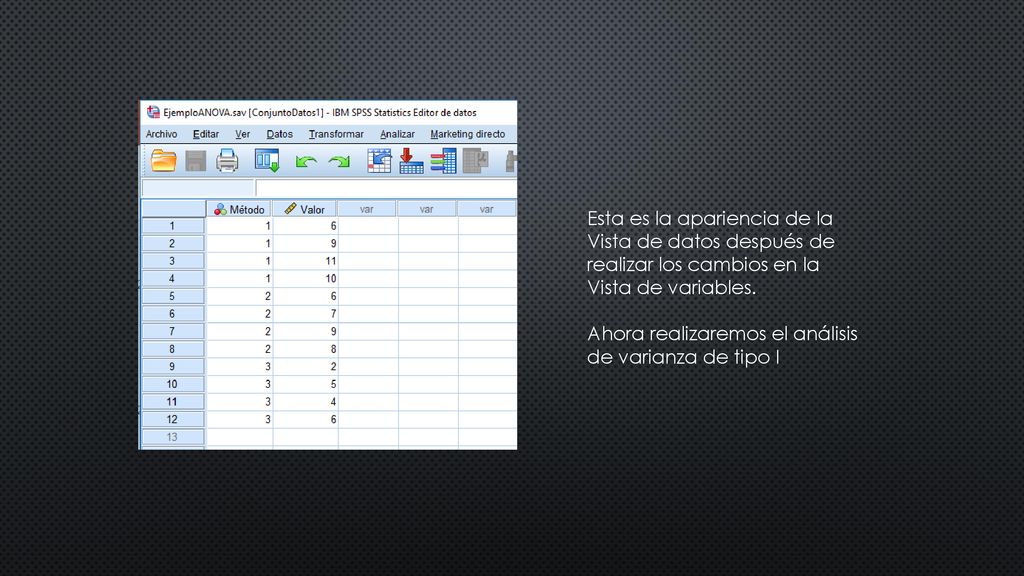 Esta es la apariencia de la Vista de datos después de realizar los cambios en la Vista de variables.