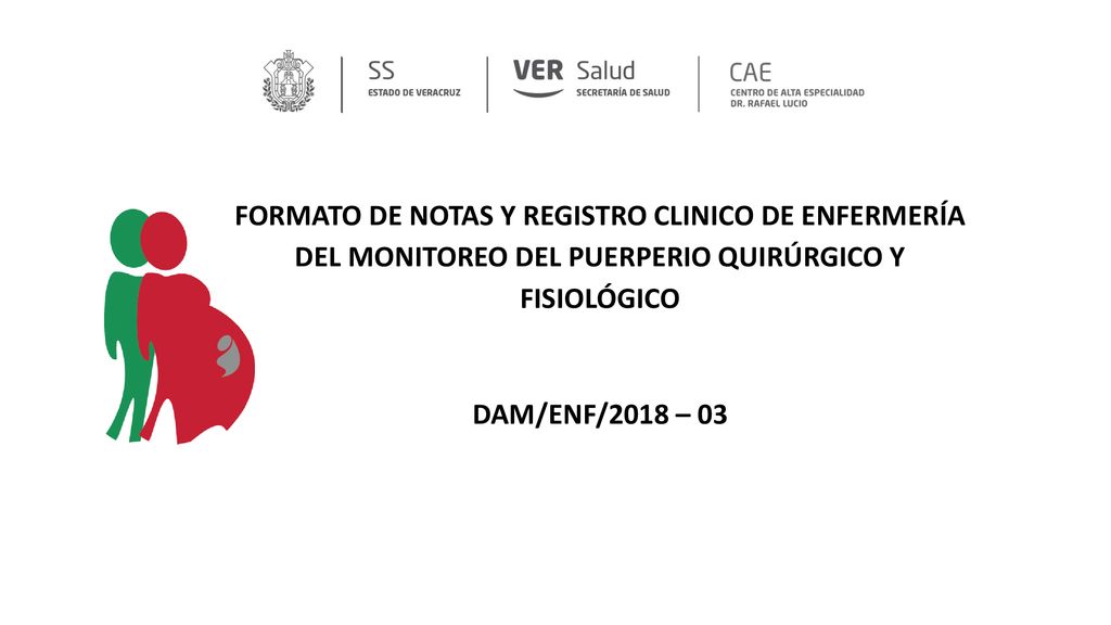 FORMATO DE NOTAS Y REGISTRO CLINICO DE ENFERMERÍA DEL MONITOREO DEL PUERPERIO QUIRÚRGICO Y FISIOLÓGICO