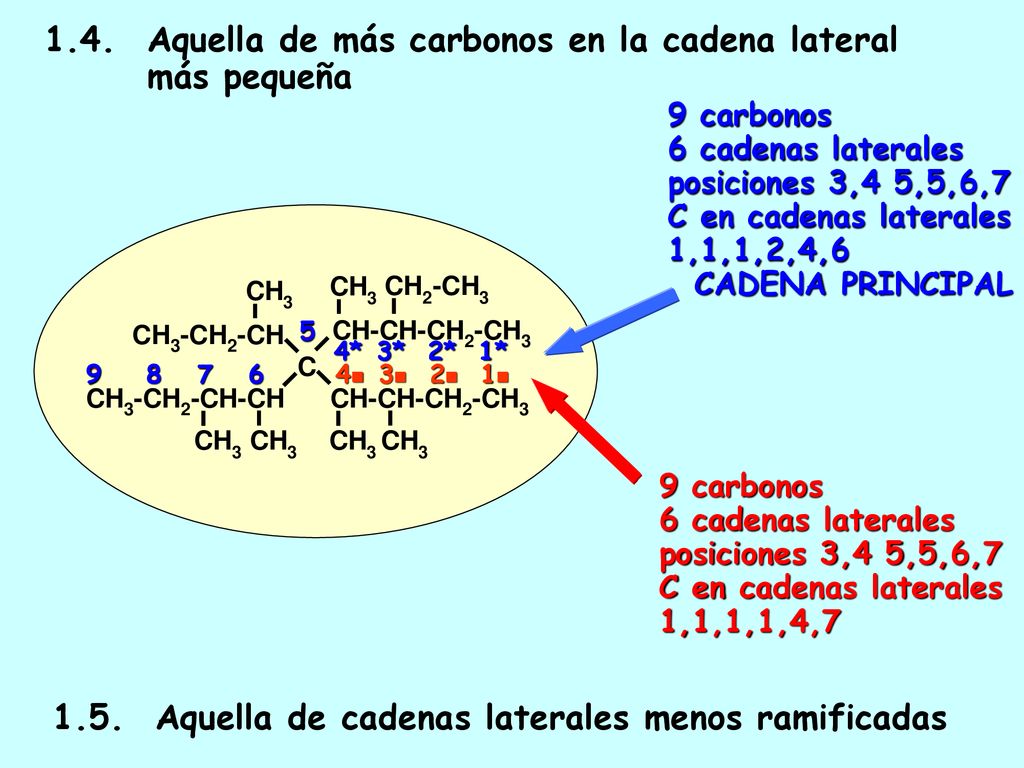 1.4. Aquella de más carbonos en la cadena lateral más pequeña