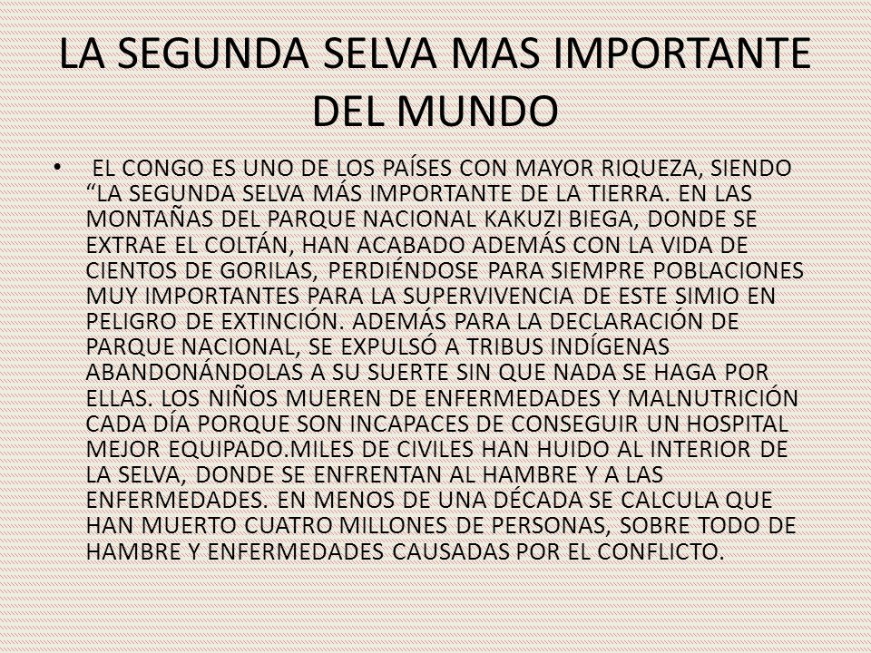 LA SEGUNDA SELVA MAS IMPORTANTE DEL MUNDO