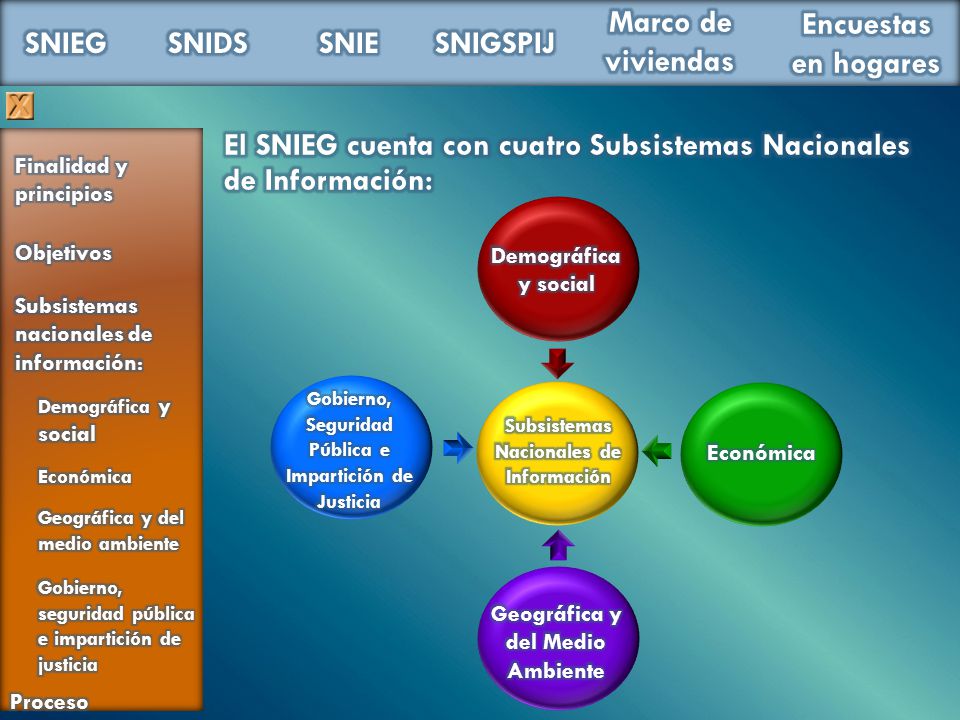 El SNIEG cuenta con cuatro Subsistemas Nacionales de Información: