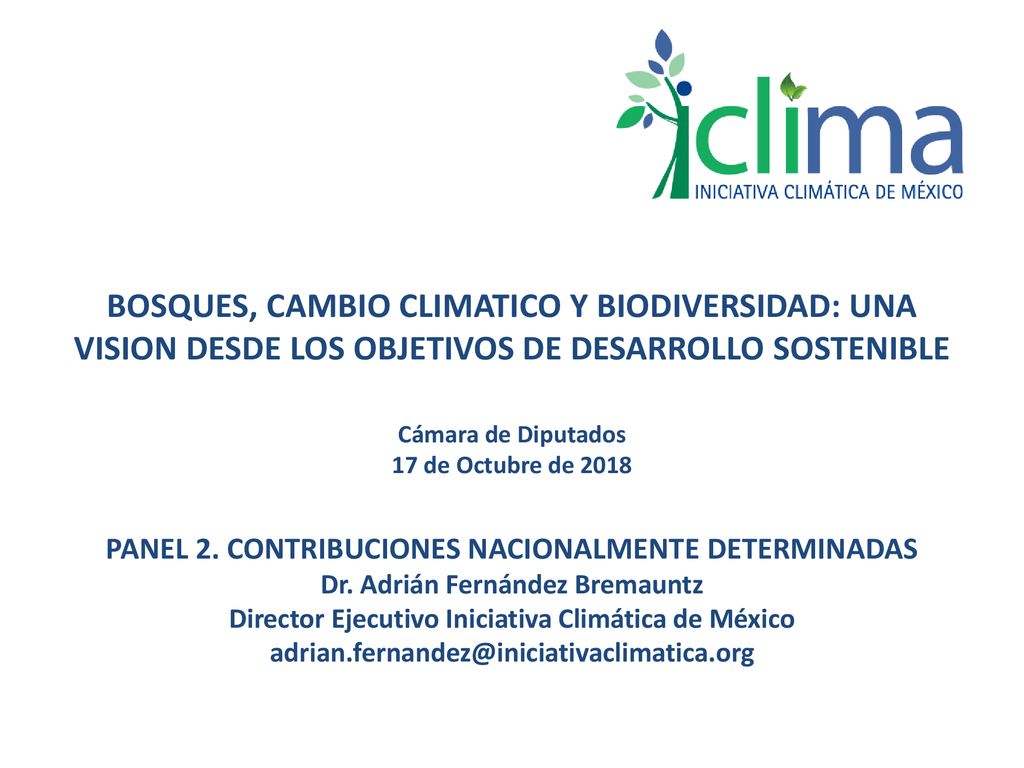 BOSQUES, CAMBIO CLIMATICO Y BIODIVERSIDAD: UNA VISION DESDE LOS OBJETIVOS DE DESARROLLO SOSTENIBLE Cámara de Diputados 17 de Octubre de 2018 PANEL 2.