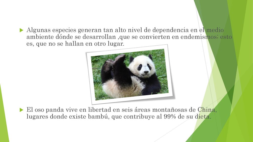 Algunas especies generan tan alto nivel de dependencia en el medio ambiente dónde se desarrollan ,que se convierten en endemismos; esto es, que no se hallan en otro lugar.