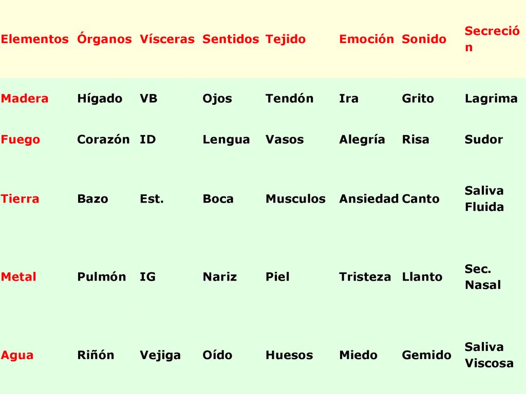 Elementos Órganos. Vísceras. Sentidos. Tejido. Emoción. Sonido. Secreció n. Madera. Hígado.