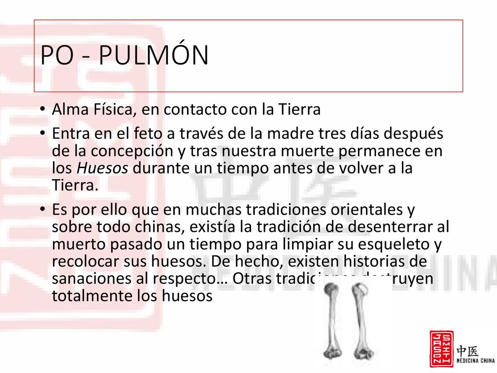 PO - PULMÓN Alma Física, en contacto con la Tierra