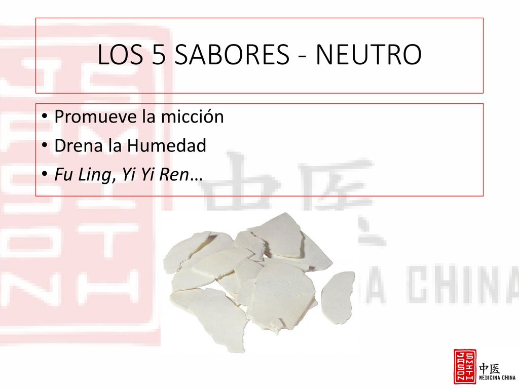 LOS 5 SABORES - NEUTRO Promueve la micción Drena la Humedad