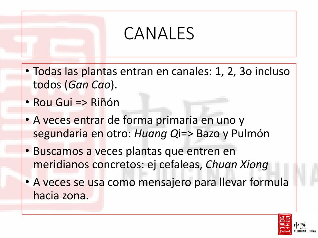 CANALES Todas las plantas entran en canales: 1, 2, 3o incluso todos (Gan Cao). Rou Gui => Riñón.