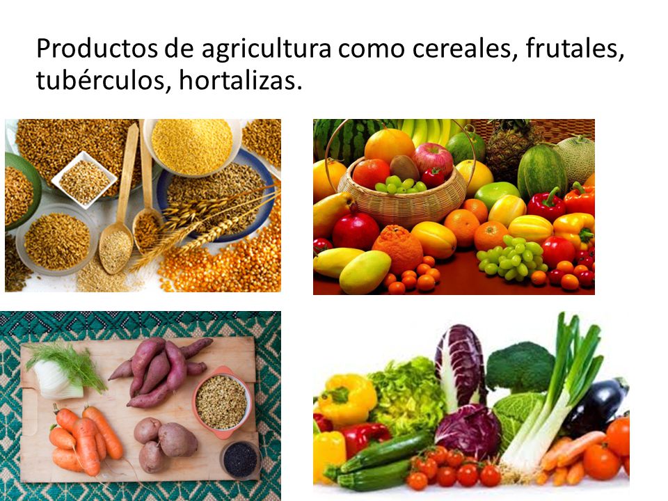 Productos de agricultura como cereales, frutales, tubérculos, hortalizas.