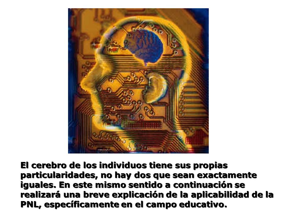 El cerebro de los individuos tiene sus propias particularidades, no hay dos que sean exactamente iguales.