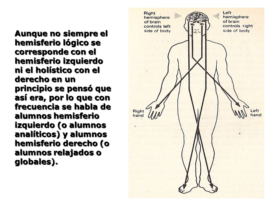 Aunque no siempre el hemisferio lógico se corresponde con el hemisferio izquierdo ni el holístico con el derecho en un principio se pensó que así era, por lo que con frecuencia se habla de alumnos hemisferio izquierdo (o alumnos analíticos) y alumnos hemisferio derecho (o alumnos relajados o globales).